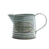 Planter Pot - Rural Style Iron Pitcher With Antique Finish Metal Flower Pot